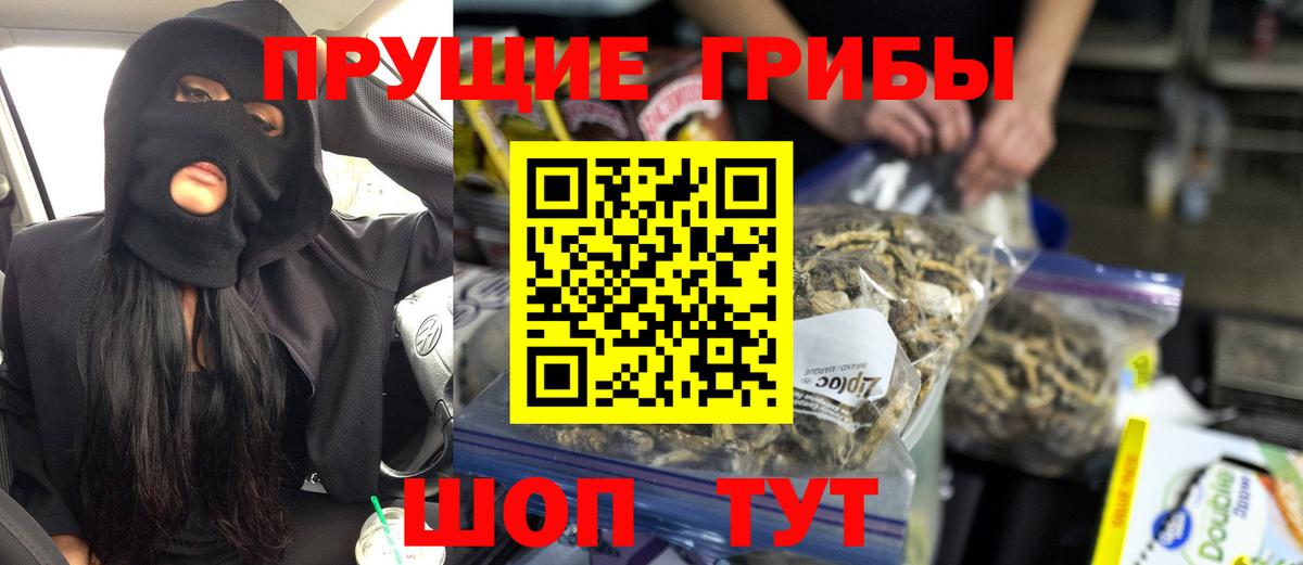 Галлюциногенные грибы Cubensis  Вход с VPN  Анжеро-Судженск 